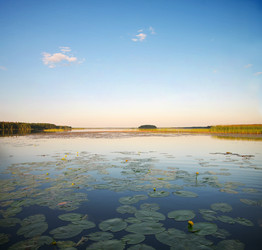 Similar image 7897222