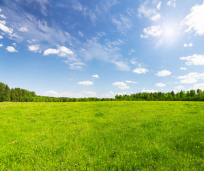 Similar image 7897260