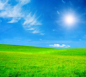 Similar image 7897279