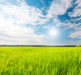 Similar image 7897301