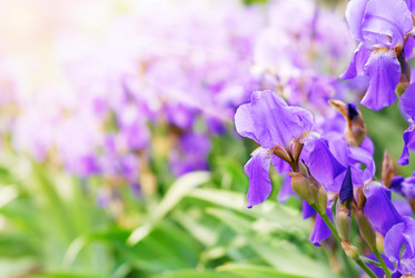 Similar image 7897303