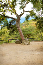 Similar image 7897325