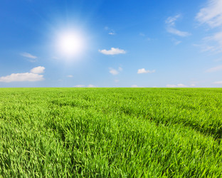 Similar image 7897333