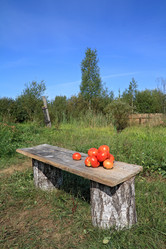 Similar image 7897355