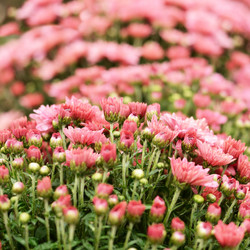 Similar image 7897356