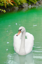 Similar image 7897402