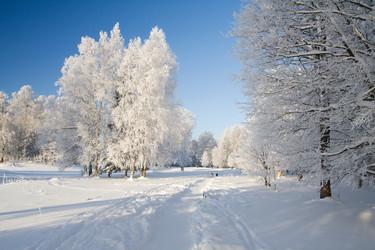 Similar image 7897496