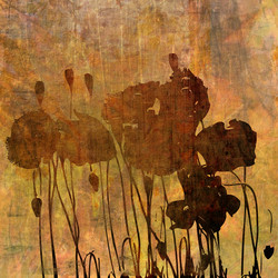 Similar image 7897510