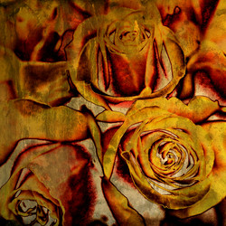 Similar image 7897516