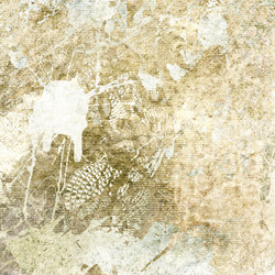 Similar image 7897517