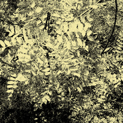 Similar image 7897520