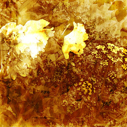 Similar image 7897536