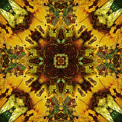 Similar image 7897546