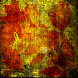 Similar image 7897550