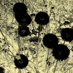 Similar image 7897552