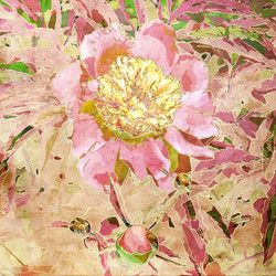 Similar image 7897559