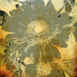 Similar image 7897570