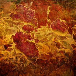 Similar image 7897575