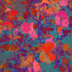 Similar image 7897576