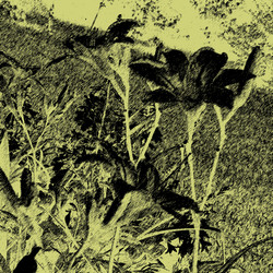 Similar image 7897581