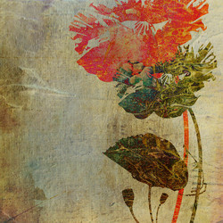 Similar image 7897584