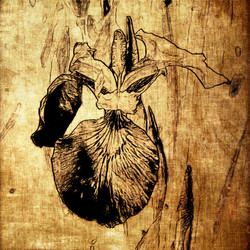 Similar image 7897586