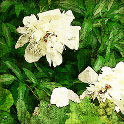 Similar image 7897594