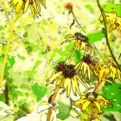 Similar image 7897614