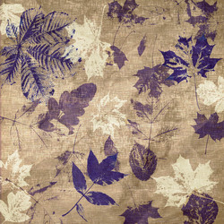 Similar image 7897637