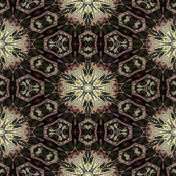 Similar image 7897640