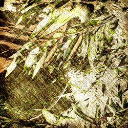 Similar image 7897651