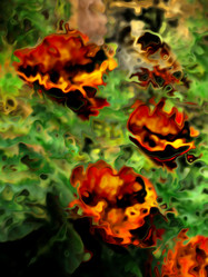 Similar image 7897660