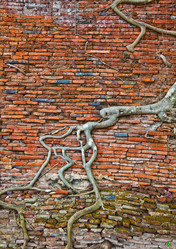 Similar image 7897694