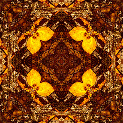 Similar image 7897710