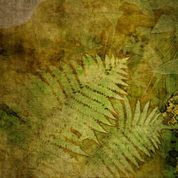 Similar image 7897716