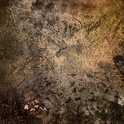 Similar image 7897721