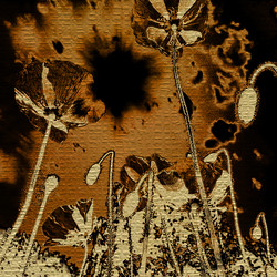 Similar image 7897733