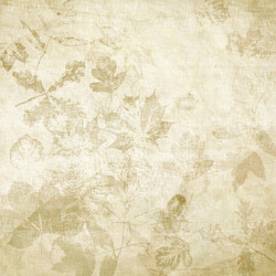 Similar image 7897737