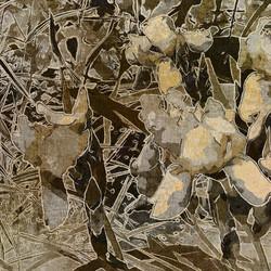 Similar image 7897738