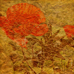 Similar image 7897752