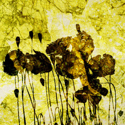 Similar image 7897760