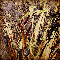 Similar image 7897809