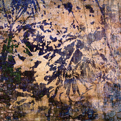 Similar image 7897832