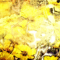 Similar image 7897855