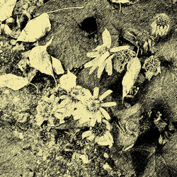 Similar image 7897886