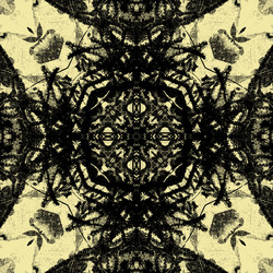 Similar image 7897959