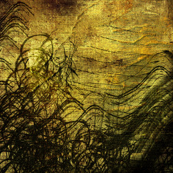 Similar image 7897963