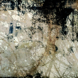 Similar image 7898002