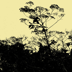 Similar image 7898009