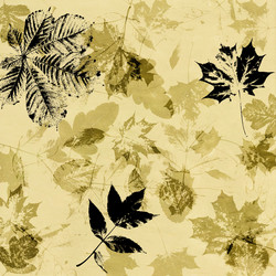 Similar image 7898082